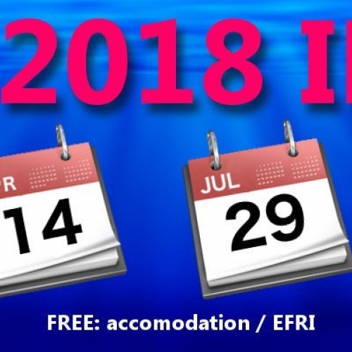 Padi Divemaster Course